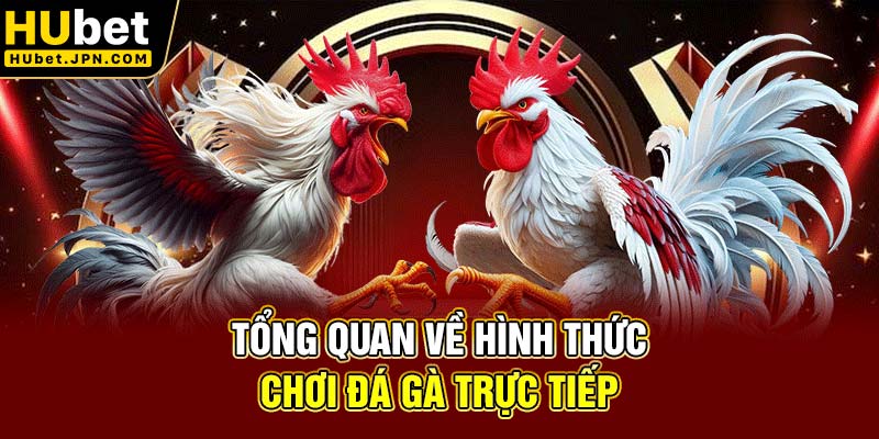 Tổng quan về hình thức chơi đá gà trực tiếp